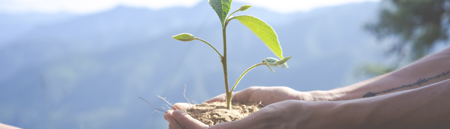 declaracion-ambiental-2021-cementos-lemona